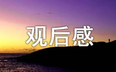 变形记爱在小凉山观后感