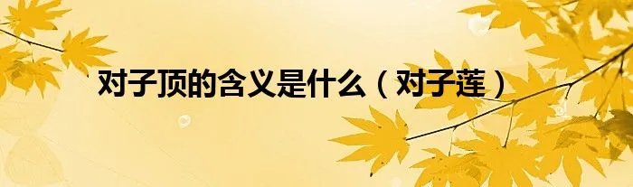 对子顶的含义是什么(对子莲)