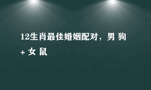 12生肖最佳婚姻配对，男 狗 + 女 鼠