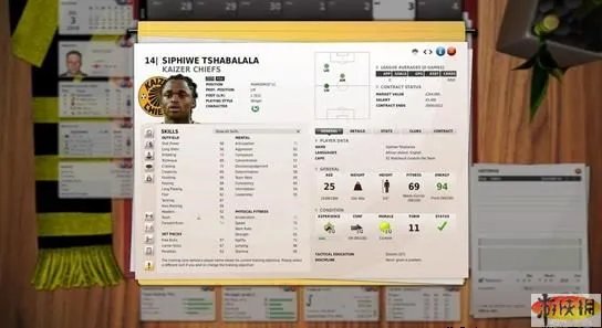《FIFA足球经理11》宣布 配置要求+截图