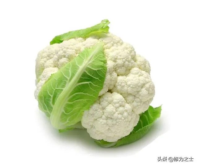 蔬菜供应链有没有人做?