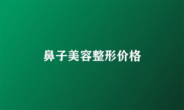 鼻子美容整形价格