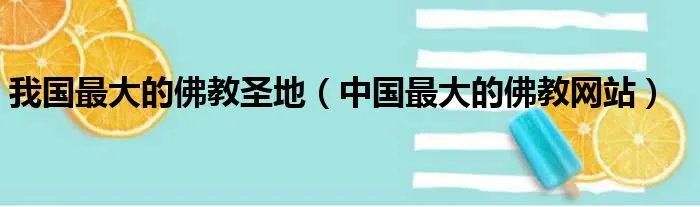 我国最大的佛教圣地（中国最大的佛教网站）