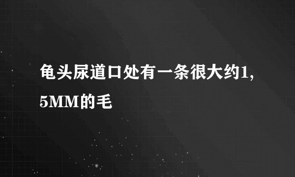 龟头尿道口处有一条很大约1,5MM的毛