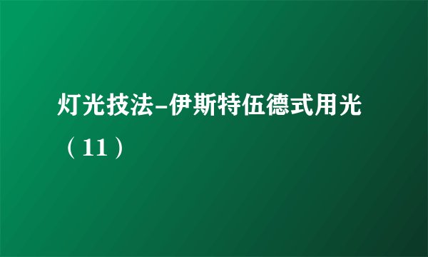 灯光技法-伊斯特伍德式用光(11)