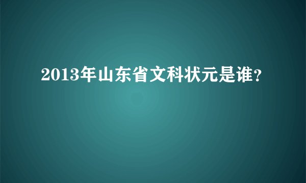 2013年山东省文科状元是谁？