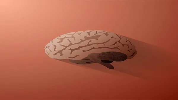 脑出血后遗症癫痫