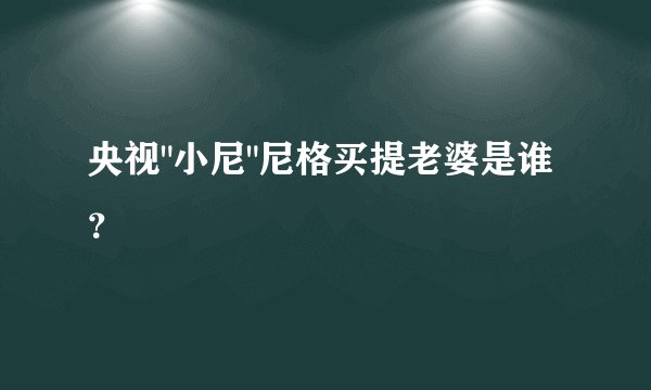 央视