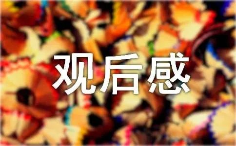 最美孝心观后感