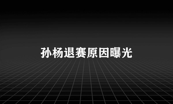 孙杨退赛原因曝光