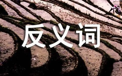 延续的反义词