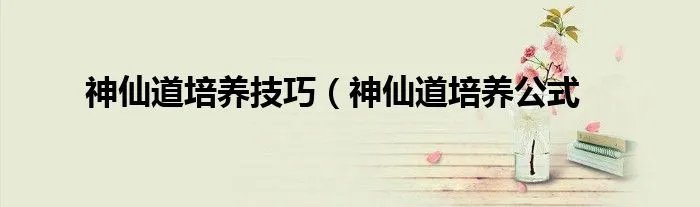 神仙道培养技巧（神仙道培养公式