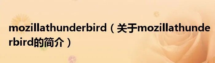 mozillathunderbird（关于mozillathunderbird的简介）