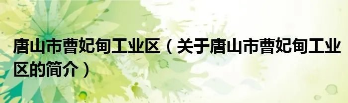 唐山市曹妃甸工业区（关于唐山市曹妃甸工业区的简介）