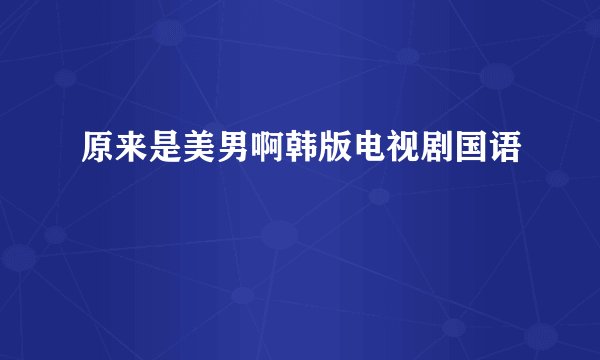 原来是美男啊韩版电视剧国语