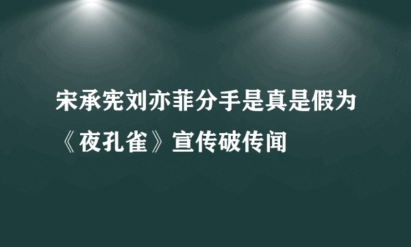 宋承宪刘亦菲分手是真是假为《夜孔雀》宣传破传闻
