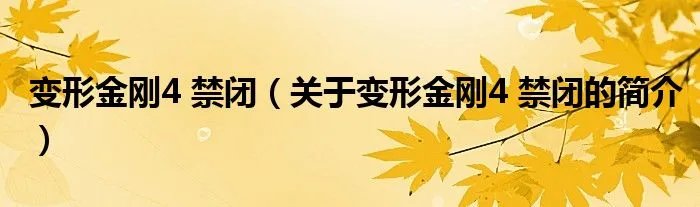 变形金刚4 禁闭(关于变形金刚4 禁闭的简介)