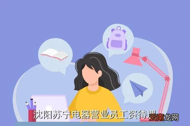 沈阳苏宁电器招聘,沈阳苏宁电器营业员工资待遇