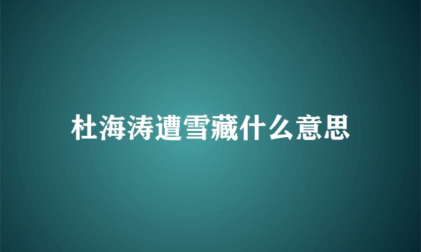 杜海涛遭雪藏什么意思