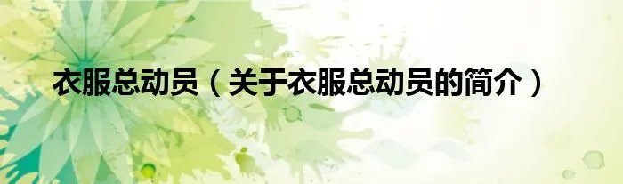 衣服总动员（关于衣服总动员的简介）