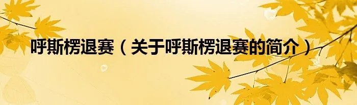 呼斯楞退赛（关于呼斯楞退赛的简介）