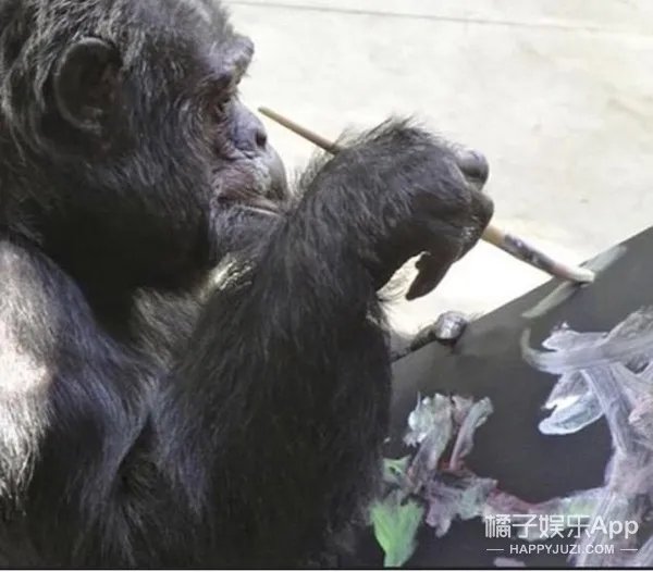 迈克尔杰克逊是如何变白的?