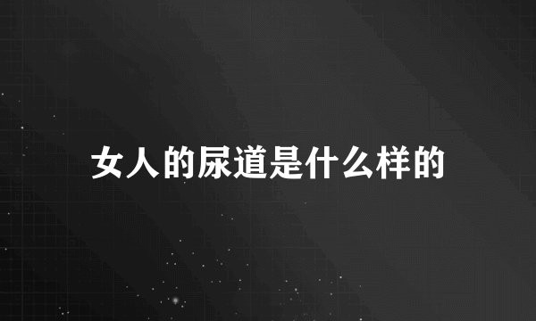 女人的尿道是什么样的