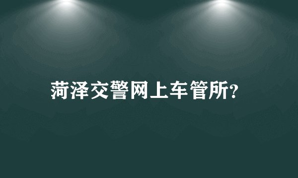 菏泽交警网上车管所？