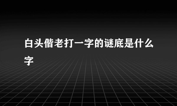 白头偕老打一字的谜底是什么字