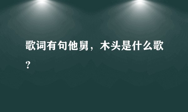 歌词有句他舅，木头是什么歌？