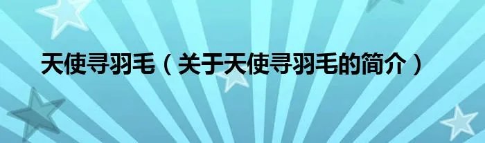 天使寻羽毛（关于天使寻羽毛的简介）