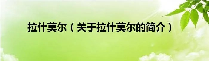 拉什莫尔（关于拉什莫尔的简介）