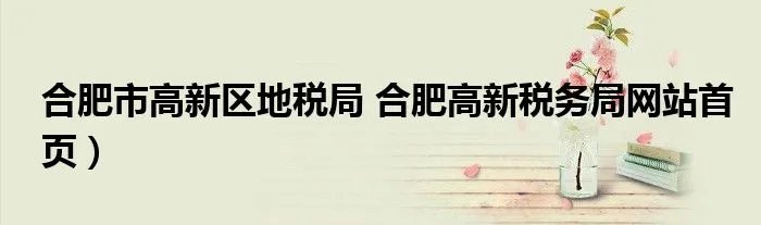 合肥市高新区地税局 合肥高新税务局网站首页)