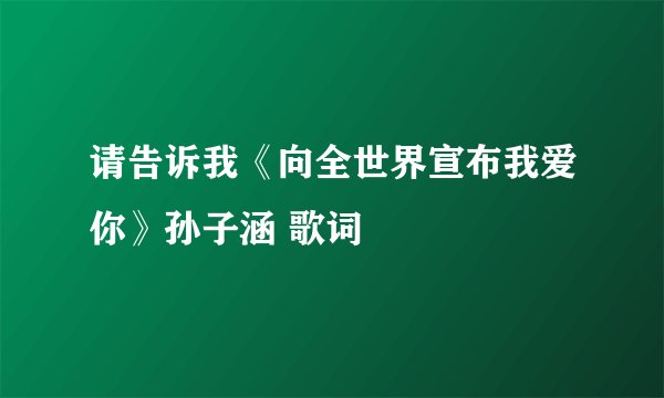 请告诉我《向全世界宣布我爱你》孙子涵 歌词