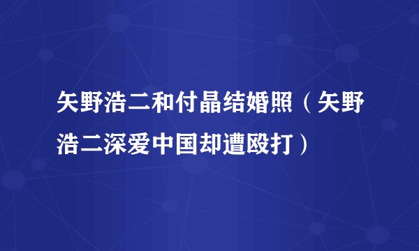 矢野浩二和付晶结婚照（矢野浩二深爱中国却遭殴打）