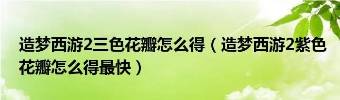 造梦西游2三色花瓣怎么得（造梦西游2紫色花瓣怎么得最快）
