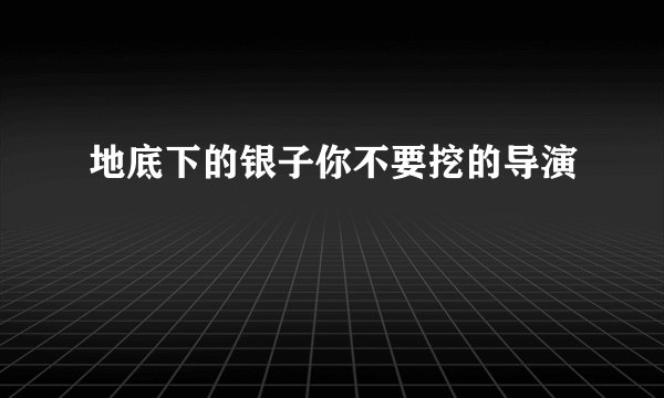 地底下的银子你不要挖的导演