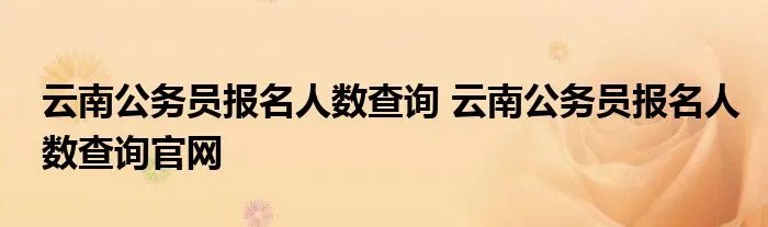 云南公务员报名人数查询 云南公务员报名人数查询官网