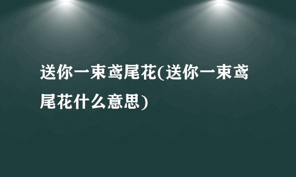 送你一束鸢尾花(送你一束鸢尾花什么意思)