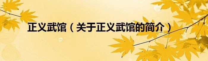 正义武馆(关于正义武馆的简介)