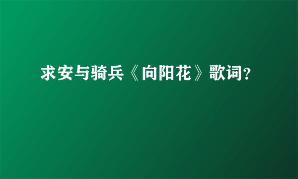 求安与骑兵《向阳花》歌词？