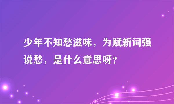 少年不知愁滋味,为赋新词强说愁,是什么意思呀?