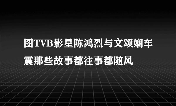 图TVB影星陈鸿烈与文颂娴车震那些故事都往事都随风