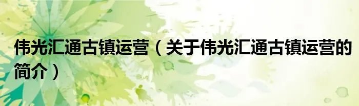 伟光汇通古镇运营（关于伟光汇通古镇运营的简介）