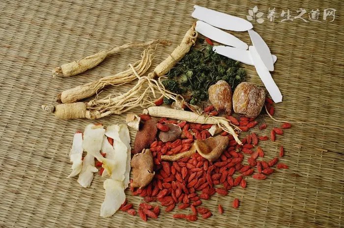 帮助猫咪减肥的方法有哪些?