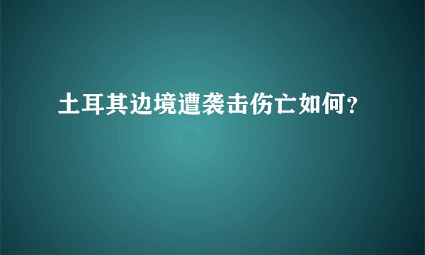 土耳其边境遭袭击伤亡如何？