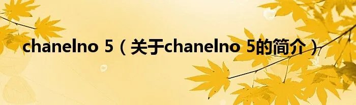 chanelno 5(关于chanelno 5的简介)