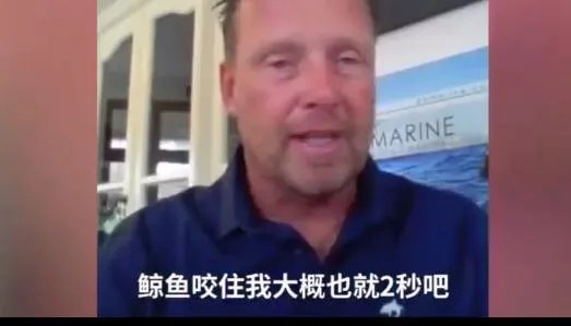 潜水员被鲸鱼吞入画面曝光:还原过程始末惊险一幕(图)