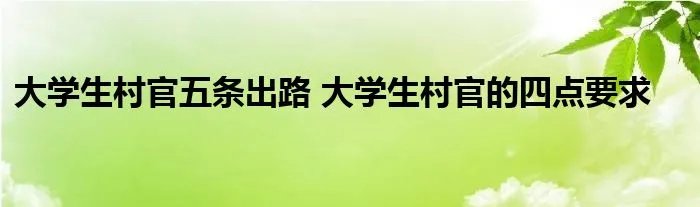 大学生村官五条出路 大学生村官的四点要求