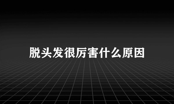 脱头发很厉害什么原因